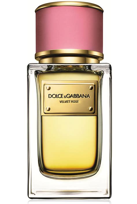 dolce gabbana 2014 perfume|dolce gabbana perfume women original.